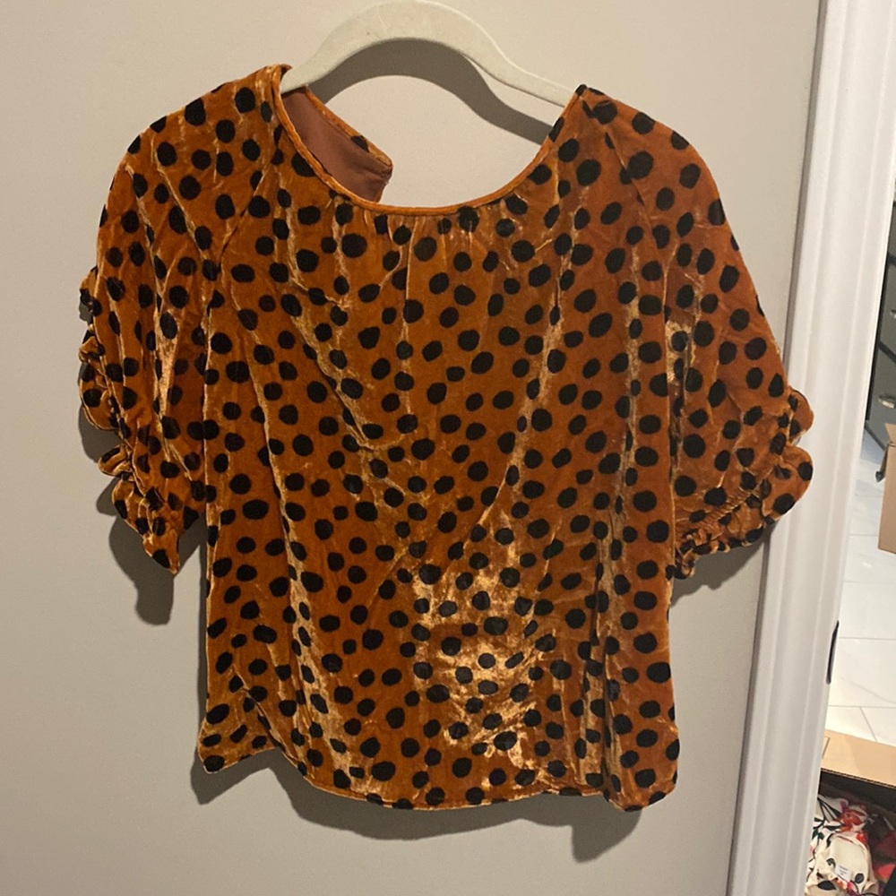ModCloth velvet ruffle sleeve top